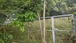 Jalan Kebaya (D10), Terrace #622617081